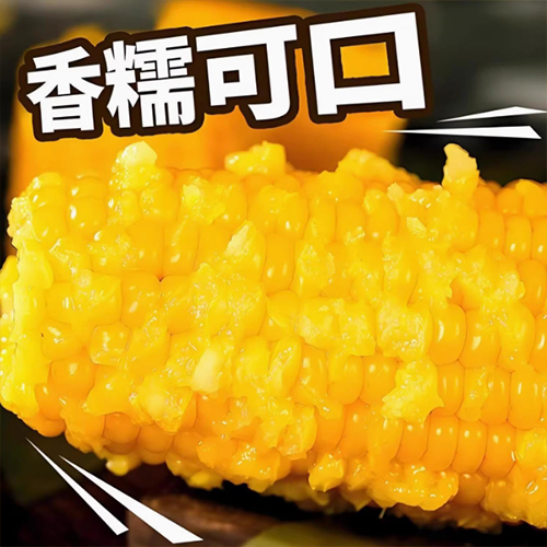 双葉黄糯玉米【10点】モチとうもろこし 軸付き...の詳細画像4