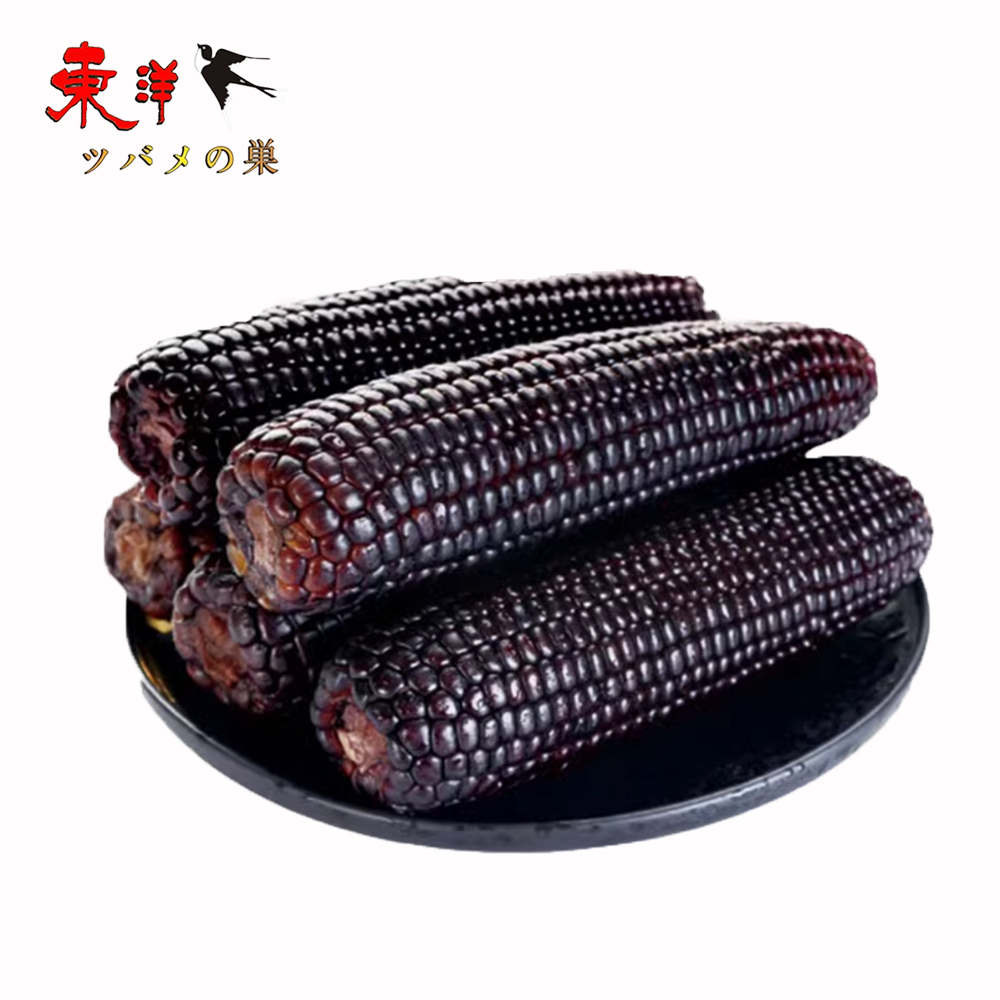 Yahoo! Yahoo!ショッピング(ヤフー ショッピング)静安黒糯玉米【1点】モチとうもろこし 軸付き糯玉米 1本x1点