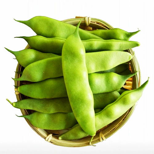友盛冷凍油豆角500g【1点】冷凍モロッコインゲン 緑色食品 平