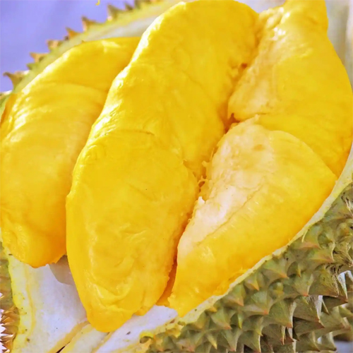 冷凍ドリアン肉500g【4点】フルーツの王様ド...の詳細画像5