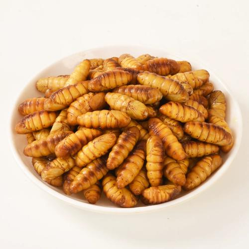 生蚕蛹500g【1点】さんよう 食用 カイコのさなぎ タンパク質たっぷり