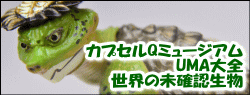 海洋堂 カプセルQミュージアム UMA大全 世界の未確認生物 ［1