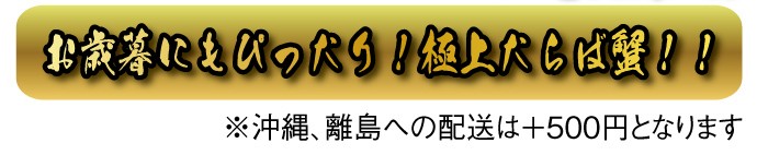 超早期割引特別価格です！