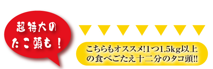 たこ頭もあります！