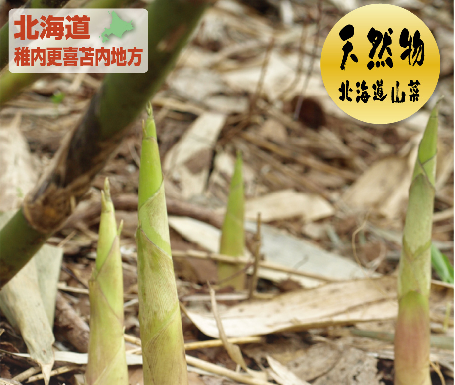 送料無料 > 北海道 たけのこ 天然物 天然根曲がり竹 1kg セット