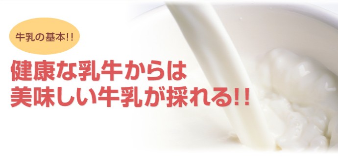 健康な牛からは美味しい牛乳ができる！