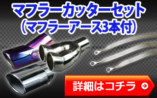 マフラーカッター プロボックス 2本出し シルバー AX381 汎用