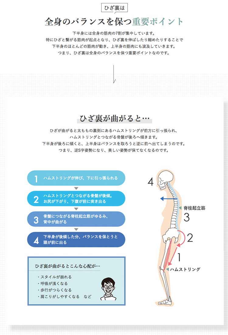 医学博士 川村明先生のA-K STYLE ひざ裏ストレッチスパッツ