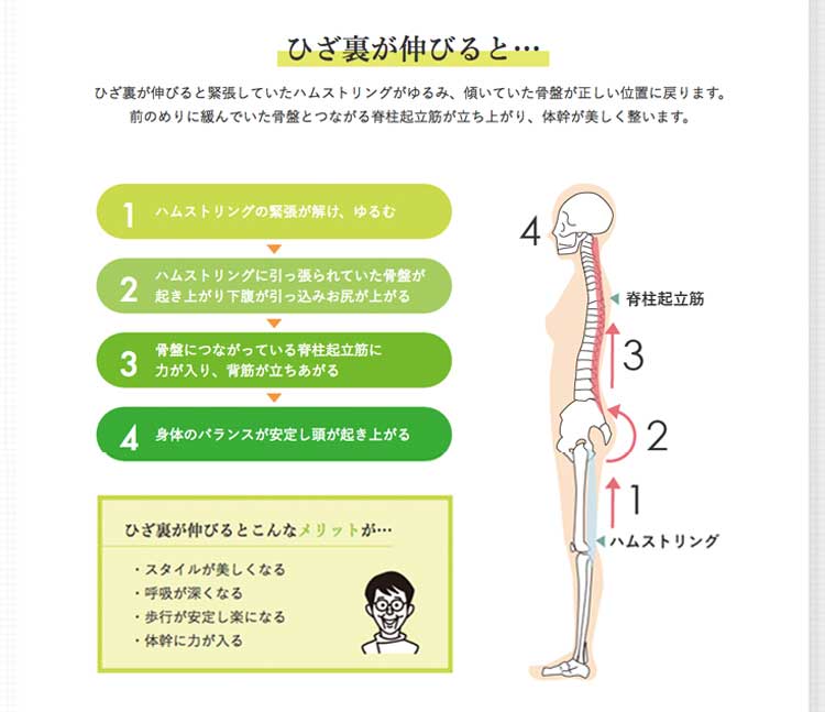 ★半額以下★ひざ裏ストレッチスパッツ８分丈　L3枚組　A-K STYLE 医学博士 川村明先生のA-K STYLE ひざ裏ストレッチスパッツ