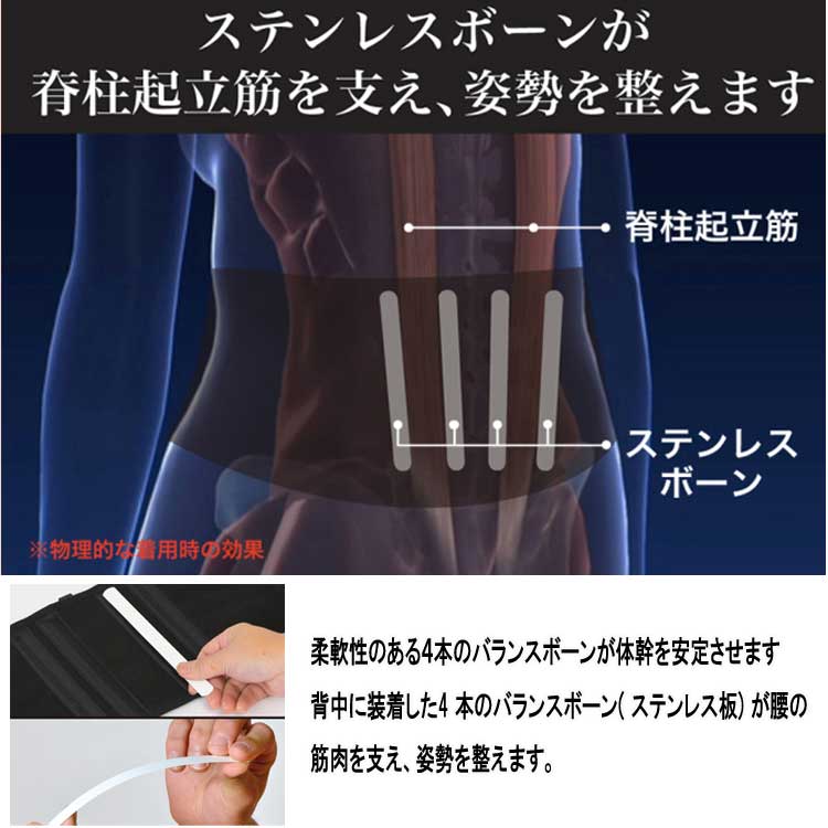 ターボセル プレミアムベルトコア 正規販売店 : トライコレクション