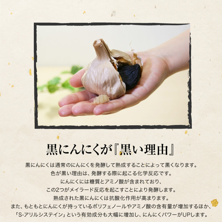 NEW黒にんにく発酵器EX 自家製黒にんにくメーカー 洗剤