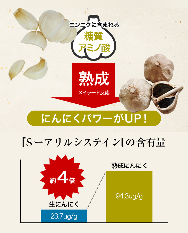 NEW黒にんにく発酵器EX 自家製黒にんにくメーカー 洗剤