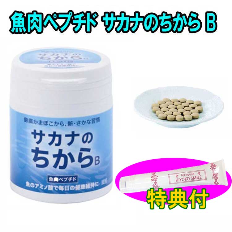 機能性表示食品 魚肉ペプチド サカナのちから B 鈴廣かまぼこ開発