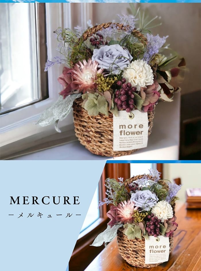 trancess - お花のギフト商品｜Yahoo!ショッピング