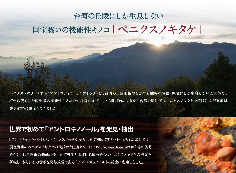 ベニクスノキタケ アントロキノノール サプリメント 紅敏風 （こうびん