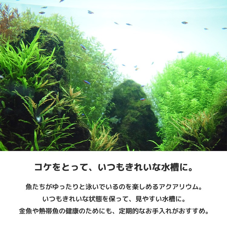 スクレーパー プロレイザー ステンレス製 アクアリウム 水槽 苔 コケ 取り 掃除 除草 除去 約65cm 替え刃付 10枚付き メンテナンス Pet 1 トラベルデパート 通販 Yahoo ショッピング スクレーパー プロレイザー ステンレス製 アクアリウム 水槽 苔 コケ 取り 掃除 除草 除去 約65cm 替え刃付 10枚付き メンテナンス Pet 1 トラベルデパート 通販 Yahoo ショッピング