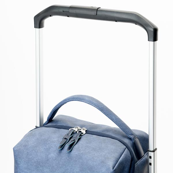 Ace soelte ソエルテ マルメ お買い物キャリー大 27L 4輪 保冷