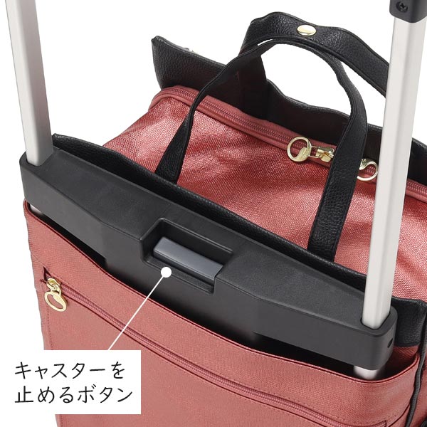 soelte ソエルテ カランド2 お買い物キャリー 24L 大径4輪 キャスターストッパー搭載 ショッピングカート 男女兼用 ACE 35985の画像