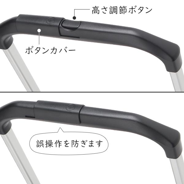 soelte ソエルテ カランド2 お買い物キャリー 24L 大径4輪 キャスターストッパー搭載 ショッピングカート 男女兼用 ACE 35985の画像