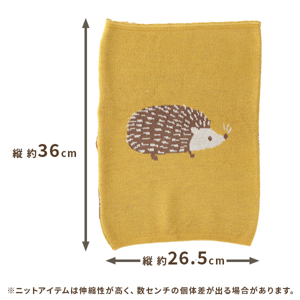 サイズ