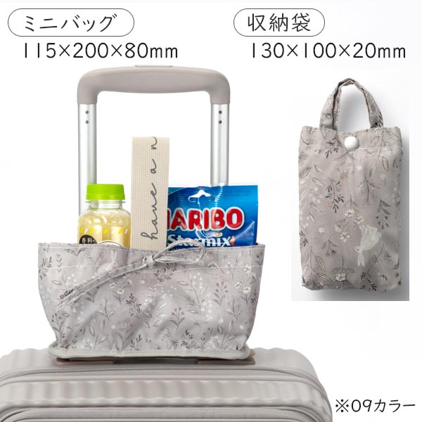 エース HaNT/ハント ココント スーツケース (36L/最大44L) トランク型 フロントオープン 拡張機能 ファスナータイプ 2〜3泊用 機内持ち込みサイズ 05511 | Ace | 11