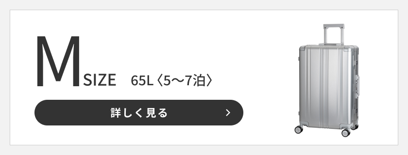 LEGEND WALKER ブレイドアルミニウム 1513-71 スーツケース キャリー