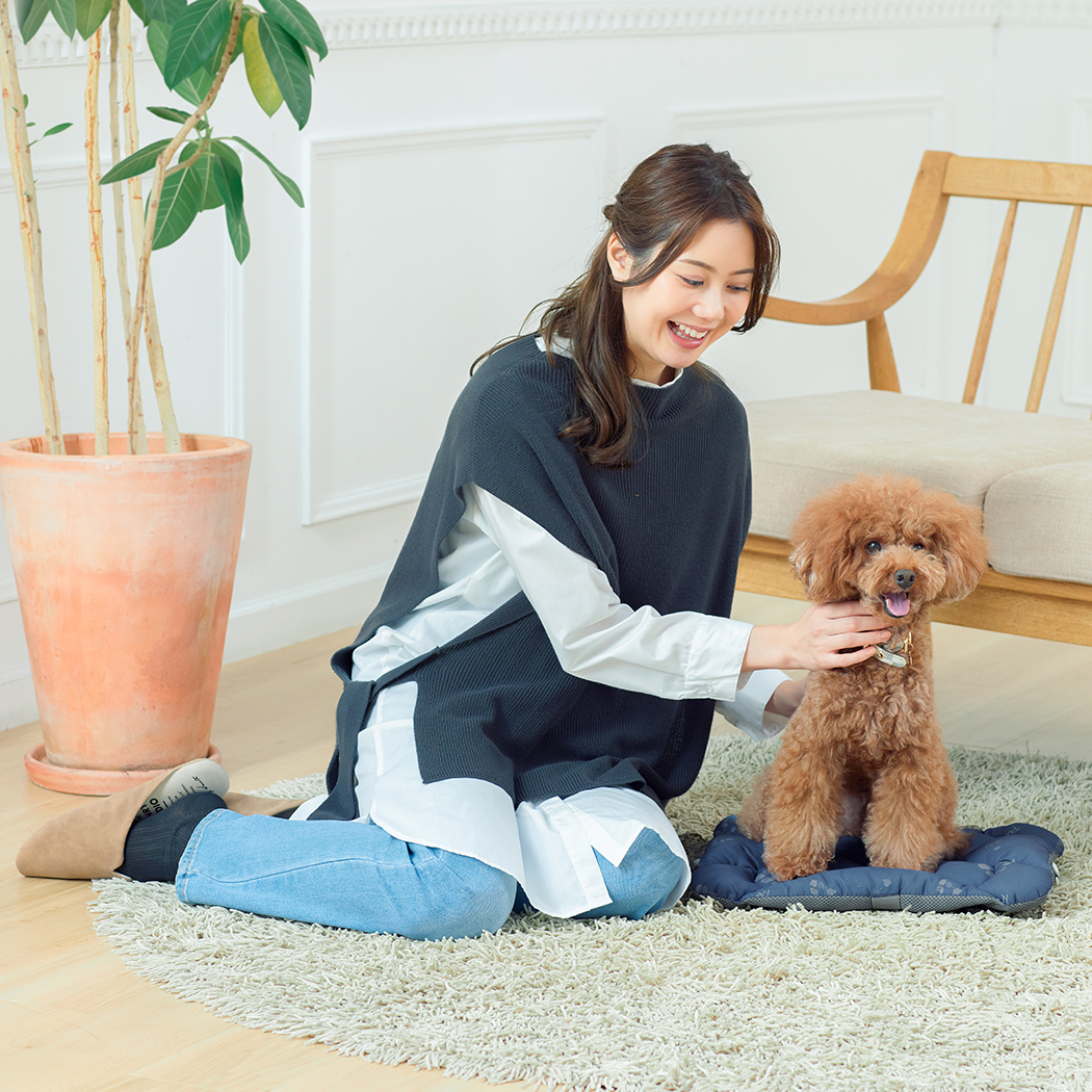 ペットキャリー用クッション ペットキャリーPETiCO iCO用 Mサイズ 3900