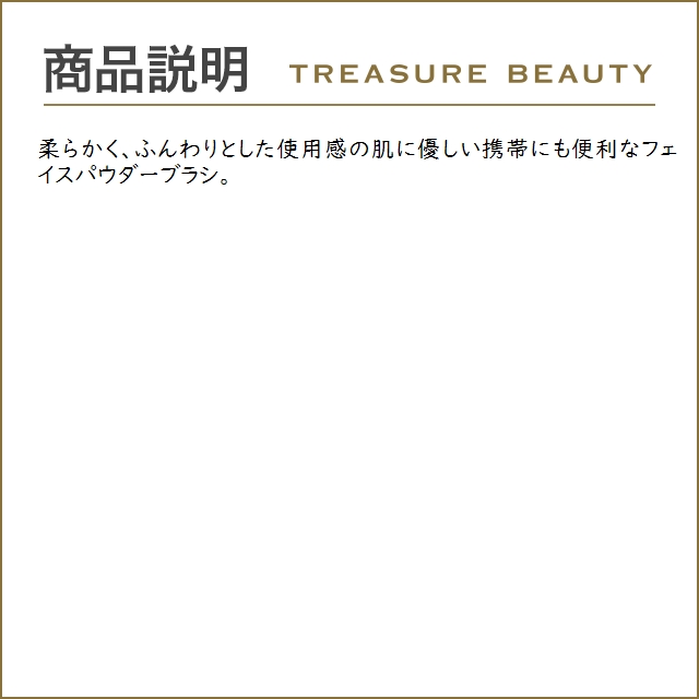 スピケア V3 セットアップパウダーブラシ   (その他メイクアップ)｜treasurebeauty｜03