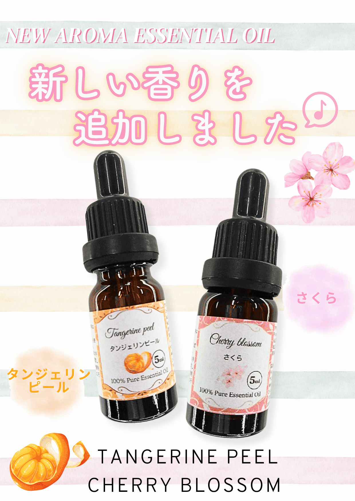 新登場