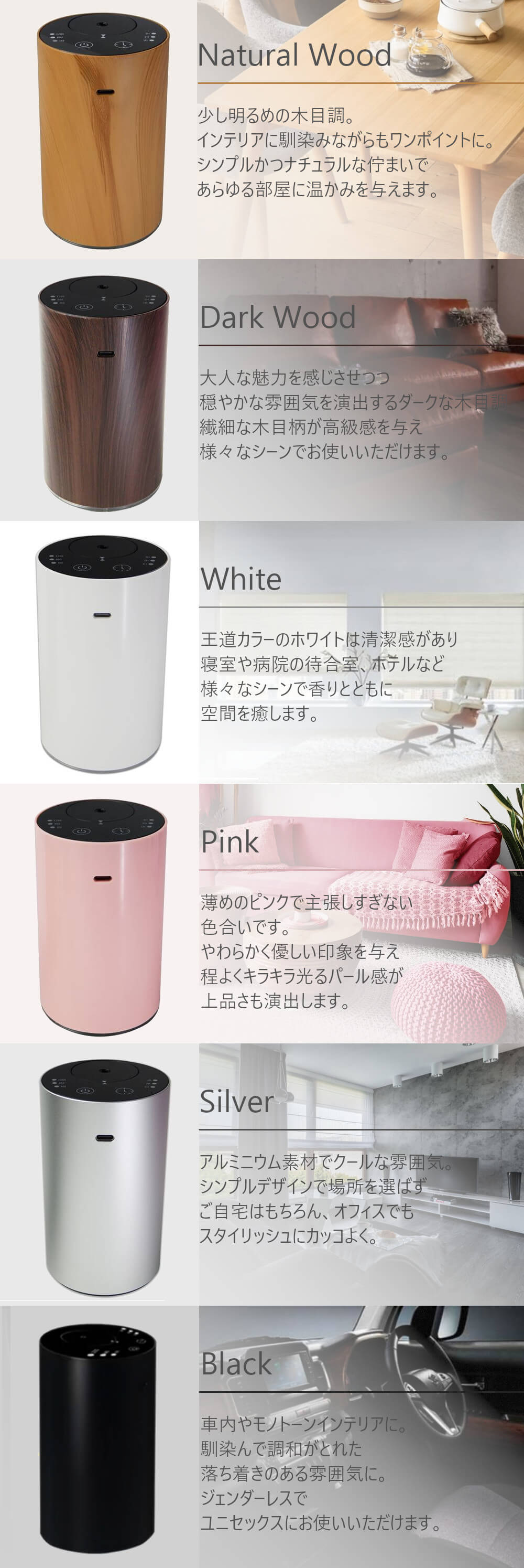 カラーバリエーション