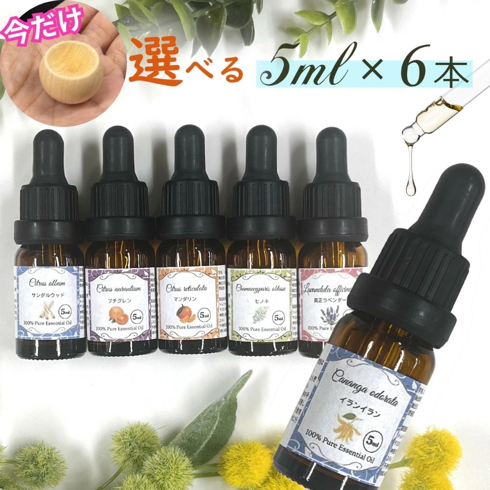 アロマオイル セット 5ml 6本セット スポイト 精油 アロマ