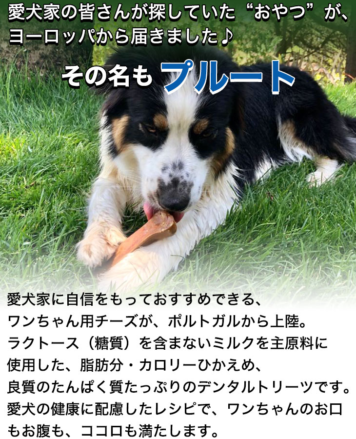 プルート デンタルスティック サイズ:S : Treats Factory - 通販