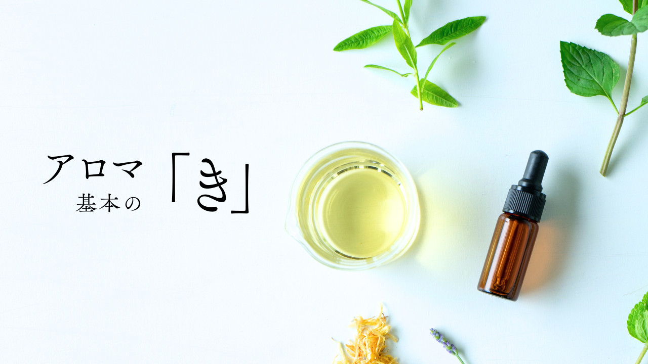 生活の木 公式 Yahoo!店 - Yahoo!ショッピング