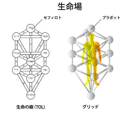 店舗良い店舗良い丸山修寛先生開発商品 至福のいざない ３Dカバラ ダ