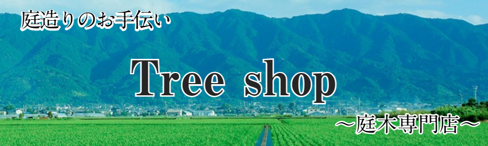 Tree shop ロゴ