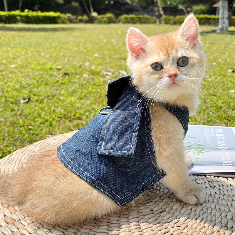 ペット洋服 猫服 デニム ツナギ ワンピース 犬服 ドッグウェア キャットウェア 洋服 猫 お出かけ ドレス ペット服 ペットウェア かわいい 猫 犬 かわいい |  | 09