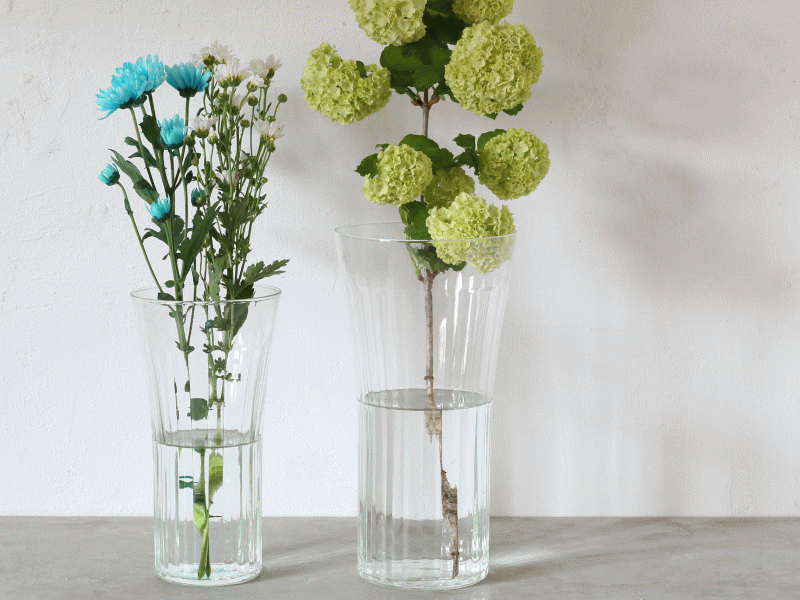 花瓶 フラワーベース おしゃれ ガラス 大きい 大型 リューズガラス ワイズライン マンス L