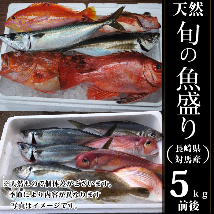 格安 天然 旬の魚 詰め合わせ セット 長崎県 対馬 産 漁師厳選 5ｋｇ 漁師直送 生鮮 魚 送料無料 ギフト 贈答品 お歳暮 好評 Orientalweavers Com