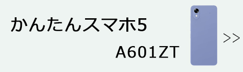 A601ZT