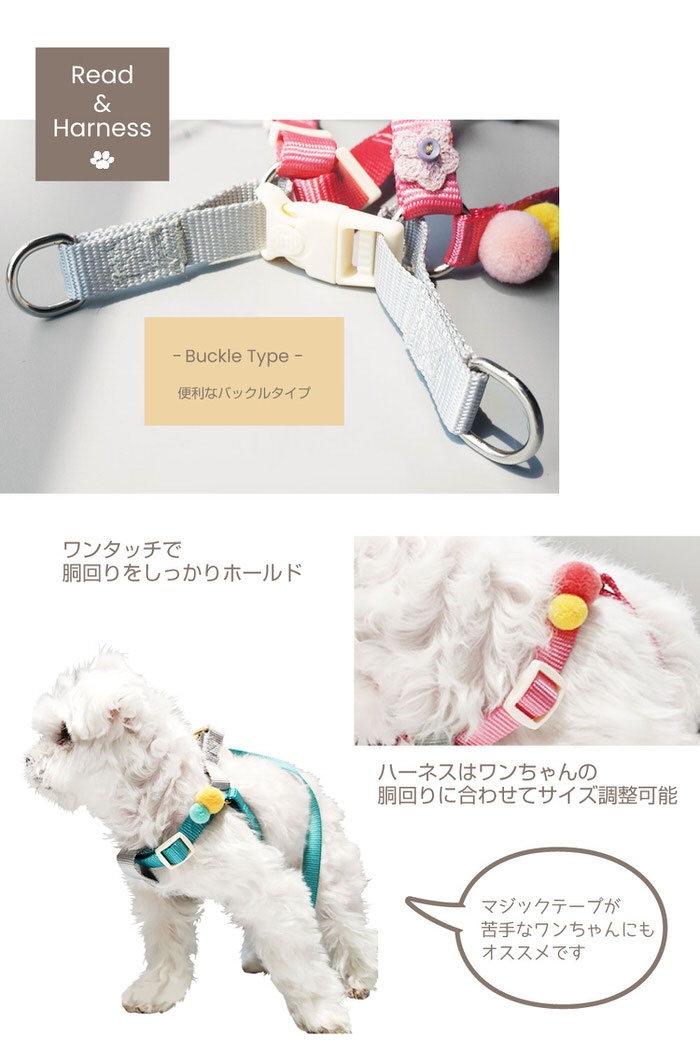 小型犬 ポンポン ハーネス リードハーネス ハーネスリード