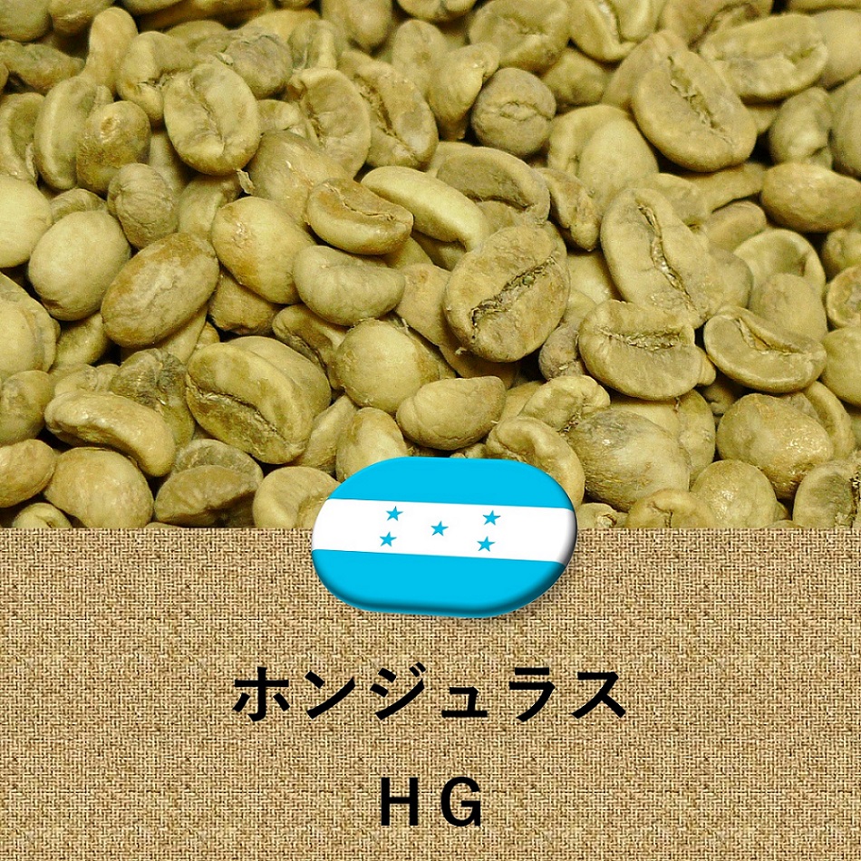 コーヒー豆 ホンジュラス産 HG 未焙煎 生豆 ホンデュラス 2lbs 907g 