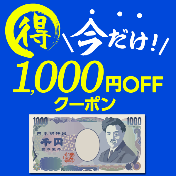 ★☆ご購入支援クーポン☆★ドライブレコーダーDRY-ST1000Pが嬉しい1000円オフ！