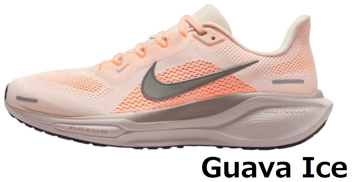 人気カラーペガサス41 25センチ タグ付き ペガサス ナイキ 人気 スニーカー カラー ペガサス41 レディース