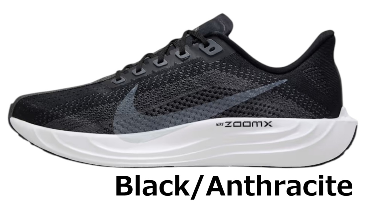 NIKE（ナイキ） スニーカー エア ズーム ペガサス プラス メンズ