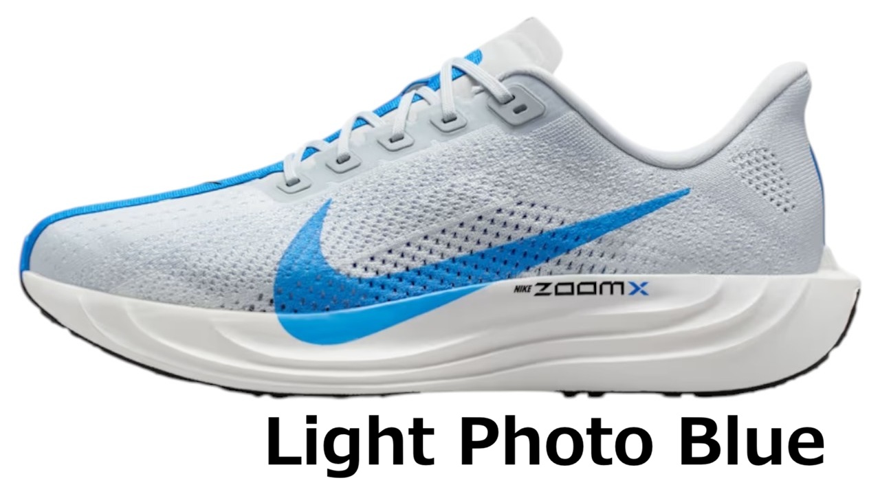 NIKE（ナイキ） スニーカー エア ズーム ペガサス プラス メンズ