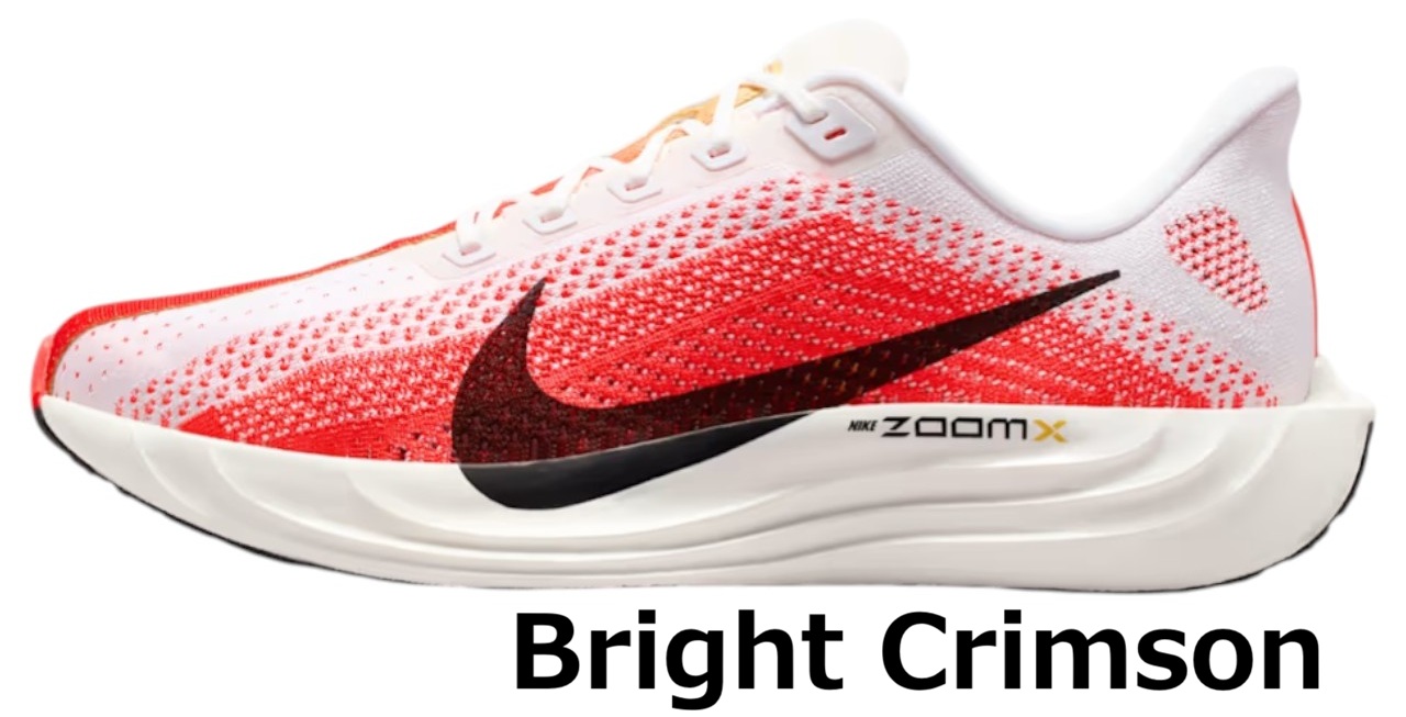 NIKE（ナイキ） スニーカー エア ズーム ペガサス プラス メンズ