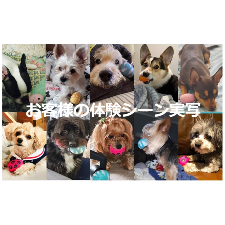 犬 おもちゃ 噛む 音がなる 丈夫 ボール たまご 卵型 ゴム 壊れない 6