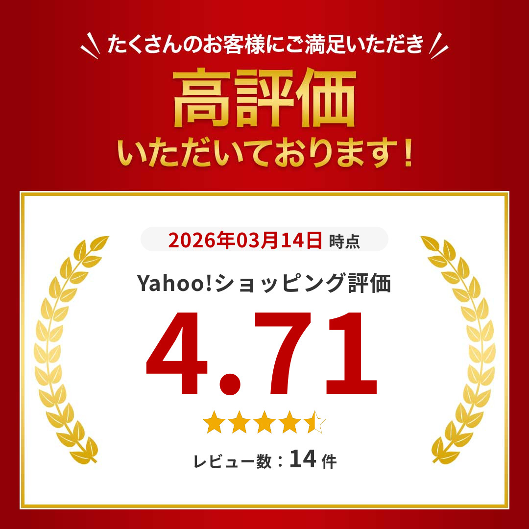 点字器具 n632 点字器セット 視覚障害者 道具 小型 6行32マス仕様