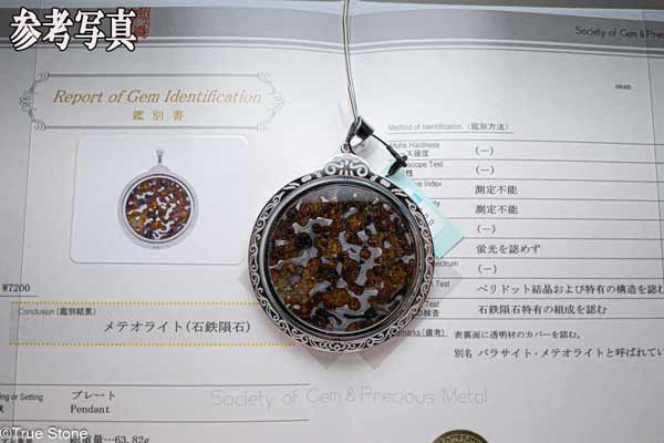 鑑別書付き AAA パラサイト隕石 回転 大型 ペンダントトップ 62.56g 石