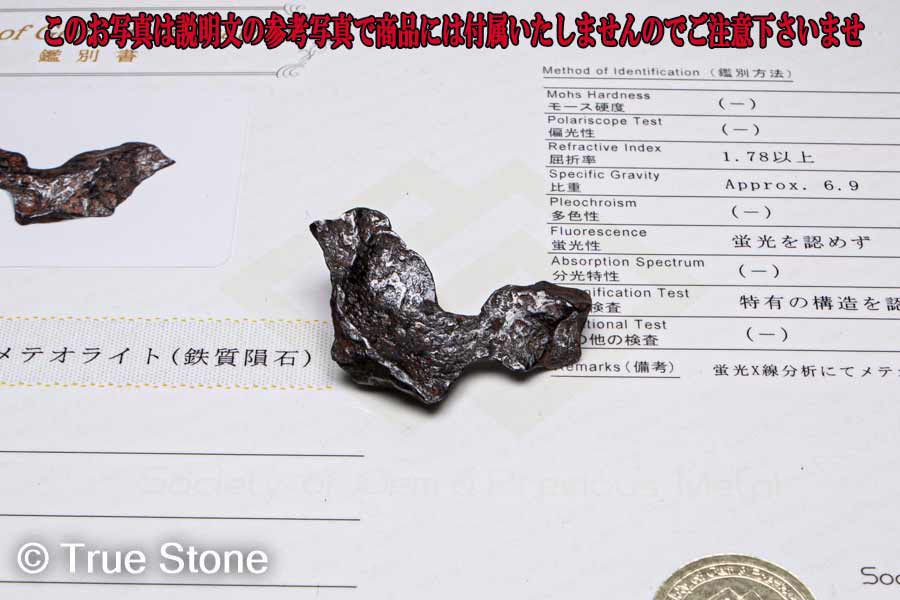 鑑別書付き キャニオンディアブロ隕石 メテオライト 139g ディアブロ 隕石 ウィドマンシュテッテン バリンジャー クレーター